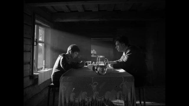 "THE FATHER" OFFICIAL TRAILER